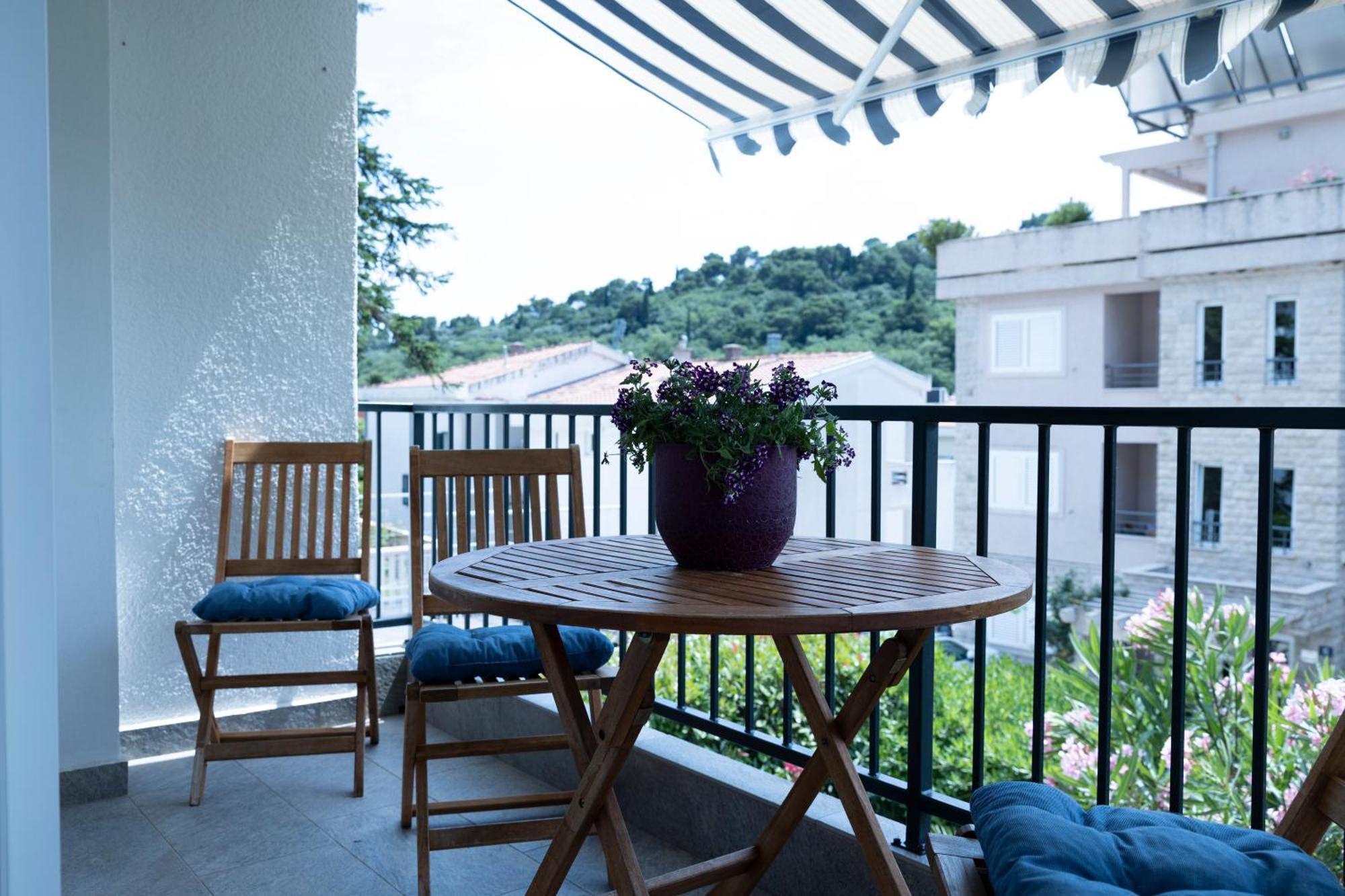 Three Palms Apartments Novakovic Petrovac Exterior photo